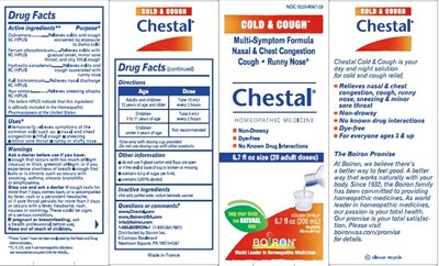 Box (Chestal Cnc Adult)
